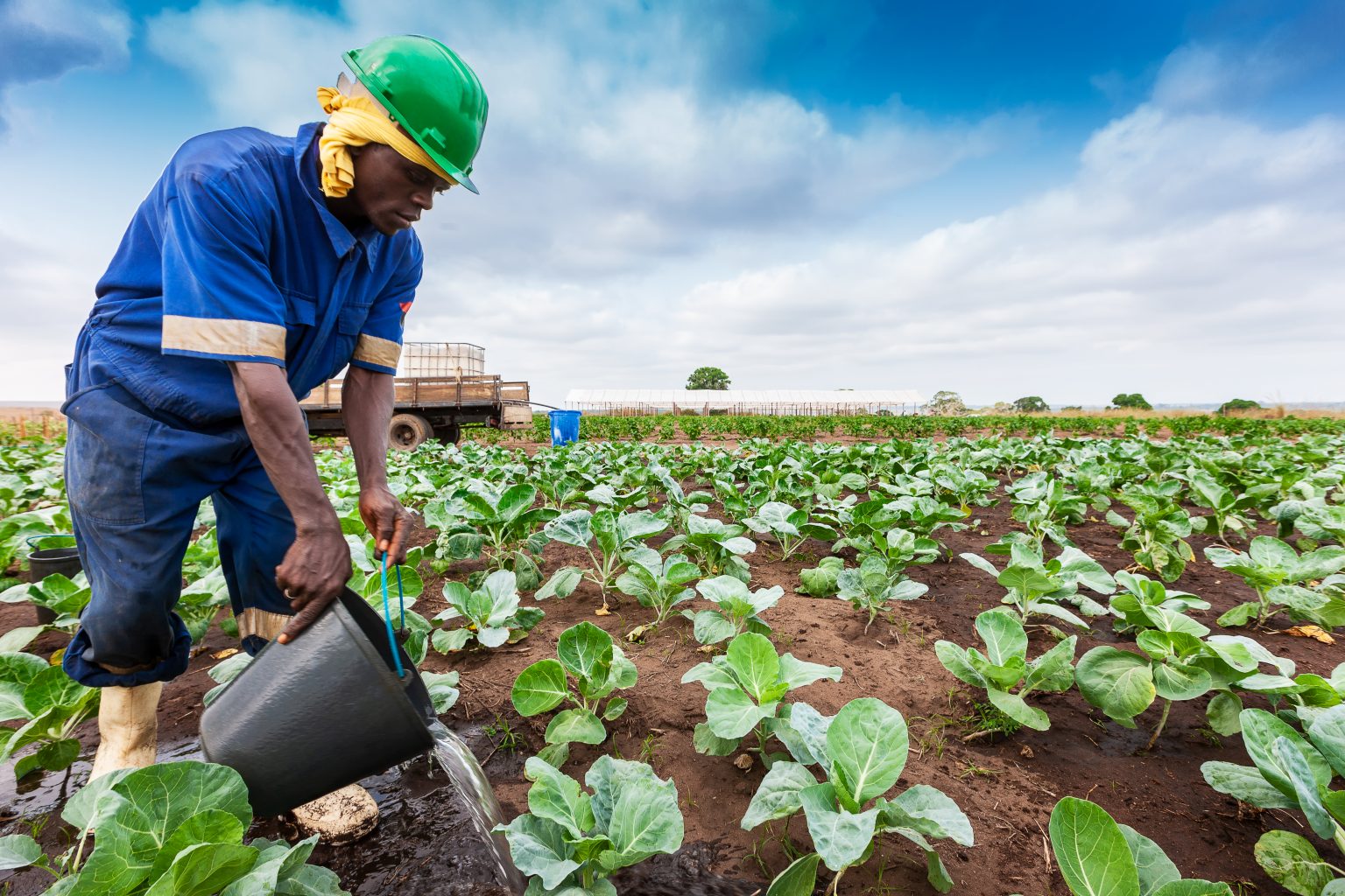 Sustainable Agriculture